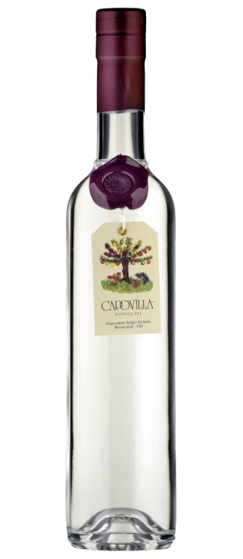 Grappa di Brunello