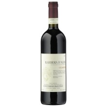 Barbera d'Alba Vignota DOC
BIO