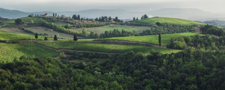 Castello Di Monsanto